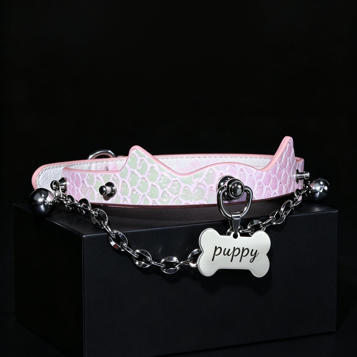 Genuine Snakeskin Cowhide Choker with Leash – styled view | Blackyyds