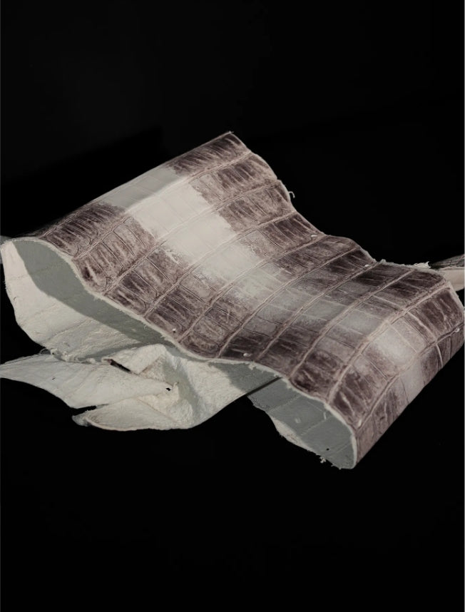 Handmade Himalayan Crocodile Leather Choker - Gradient White Exotic Skin Collar & Leash Set (Luxury Custom)