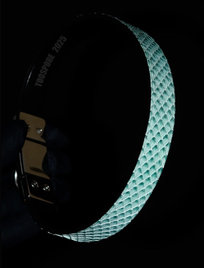 Handmade Real Snake Skin Choker - Iridescent Mint Green & Purple Polarized Leather Collar (Original Design)